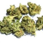 Buy Weed Online Canada – Easy Ordering and Fast Delivery Across the Country