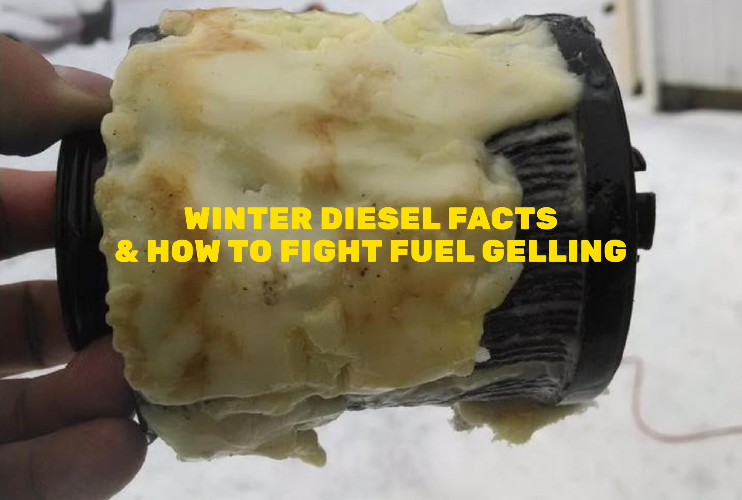 At What Temp Does Diesel Freeze: Expert Insights
